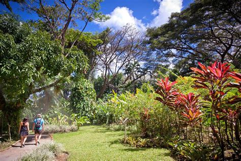 Botanical Garden | Deshaies | Guadeloupe Islands