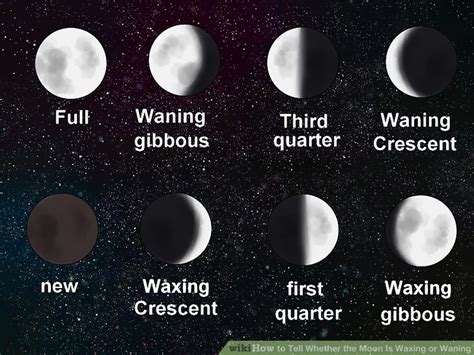 How to Tell Whether the Moon Is Waxing or Waning | Moon, Moon cycles ...