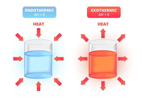 Exothermic And Endothermic Diagrams