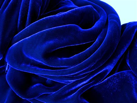 Blue Velvet Free Photo Download | FreeImages