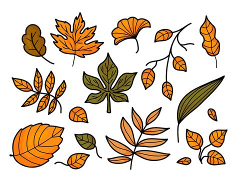 Autumn leaves. Collection seasonal forest leaves. Vector illustration. Isolated colored hand ...