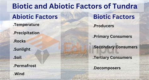 Biotic and Abiotic Factors of Tundra Ecosystem