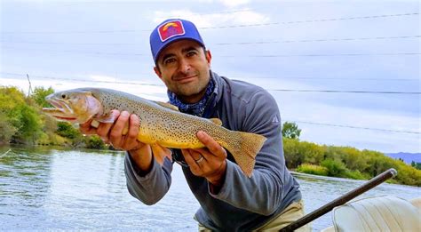 A Symbol of our Region - Yellowstone cutthroat trout | Teton Regional Land Trust