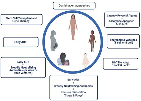 Frontiers | Understanding Viral and Immune Interplay During Vertical ...