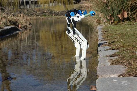 Watch emu-inspired robot legs that use less energy to run - Trendradars Latest