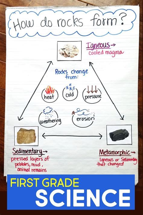 First Grade Science Lesson Plans - Lesson Plans Learning