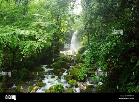 Shiraito Waterfall, Kumamoto Prefecture, Japan Stock Photo - Alamy