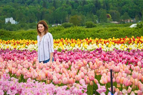 Tulip Festival 2024 Abbotsford British Columbia - Birgit Steffane