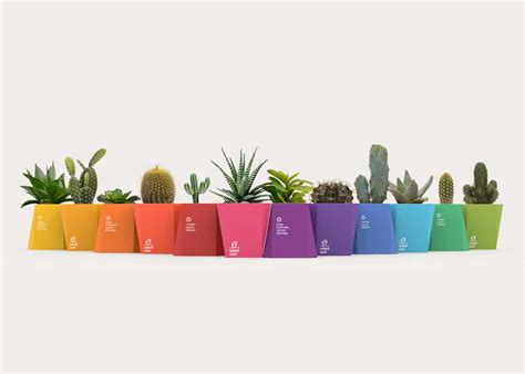 Creative cactus packagings of biting design | Packly Blog