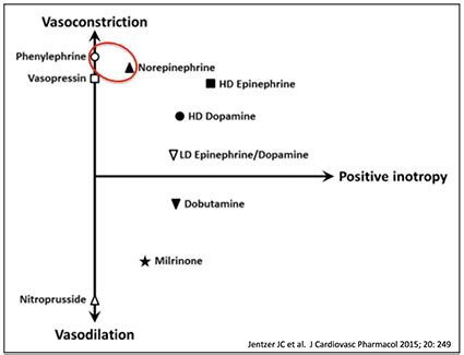 Inotropes, vasopressors and other vasoactive agents • LITFL • CCC