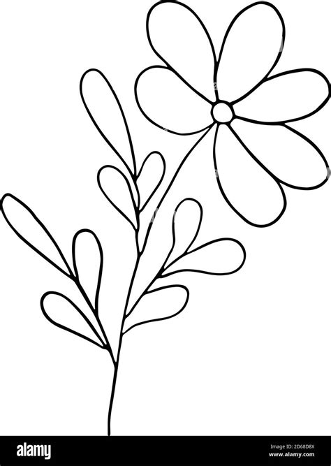 A hand drawn simple fancy flower, outline sketch vector illustration, contour isolated object on ...