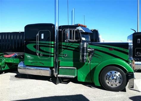 Sick paint job! | Truck paint jobs, Big rig trucks, Peterbilt trucks