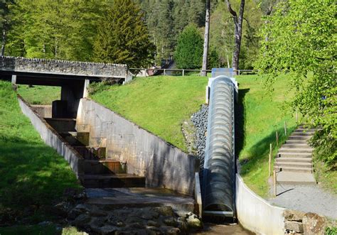 Exploring (or getting lost in) the Labyrinth at Cragside | North East Family Fun