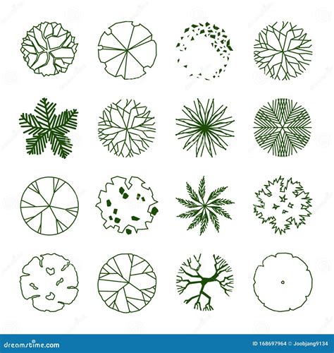 CAD Tree Symbols Plan View