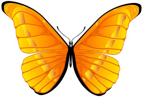 Butterfly Pictures Clip Art - ClipArt Best