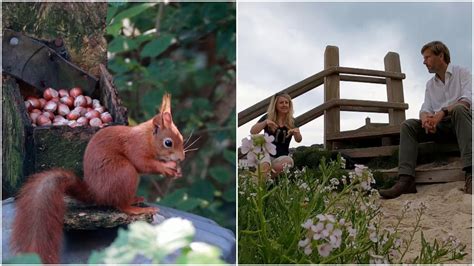 Wildlife making the most of Isles of Scilly due to lack of locals and ...