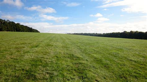 File:Part of Long Hill training grounds, Newmarket.jpg - Wikimedia Commons