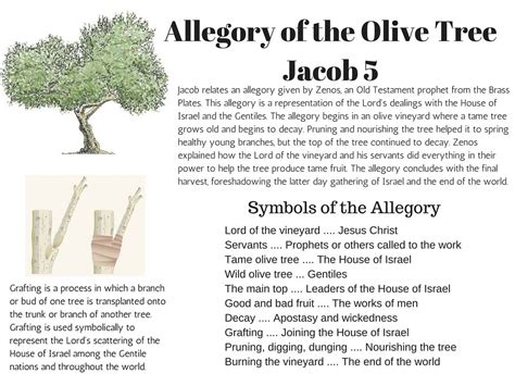 Jacob 5 The Allegory of the Olive Tree - LDS Scripture Teachings | Scripture study lds, Book of ...