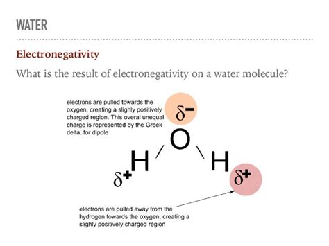 Biochemistry Unit 1