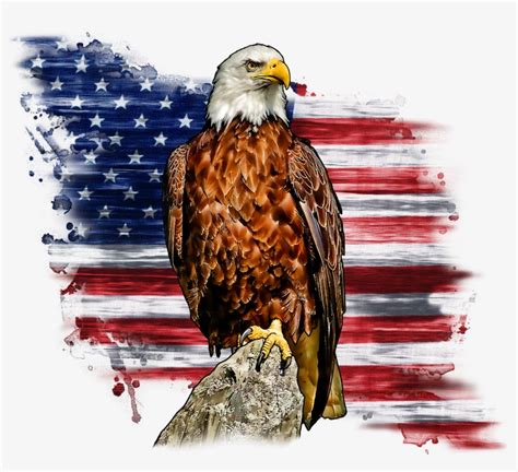 Bald Eagle Perched With An American Flag - Free Transparent PNG Download - PNGkey