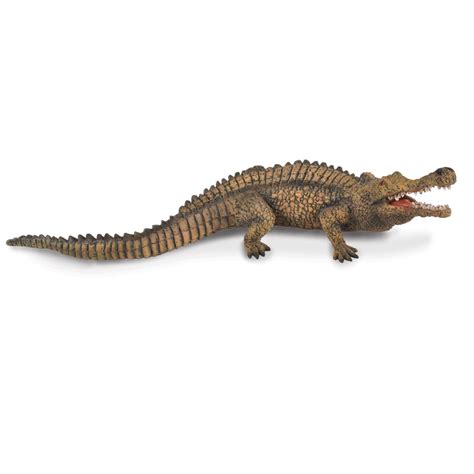 Sarcosuchus Model (Procon/Collecta Crocodile Model)