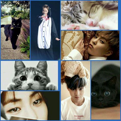 🐣EXO ANIMAL COSTUME COLLAGE🐣 | EXO (엑소) Amino