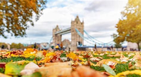 Instagrammable London: 18 Photos Of London Looking Awesome In The Autumn