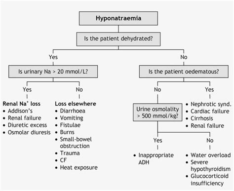 Hyponatraemia Causes - Hyponatremia Causes - 1202x925 PNG Download - PNGkit