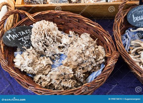 Grifola Frondosa, Polypore Mushrooms Editorial Stock Image - Image of ...