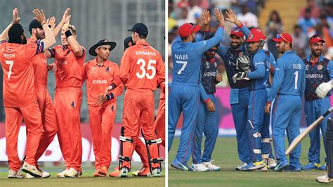 Cricket World Cup 2023 NED vs AFG Playing 11, pitch report, live streaming | World Cup News ...