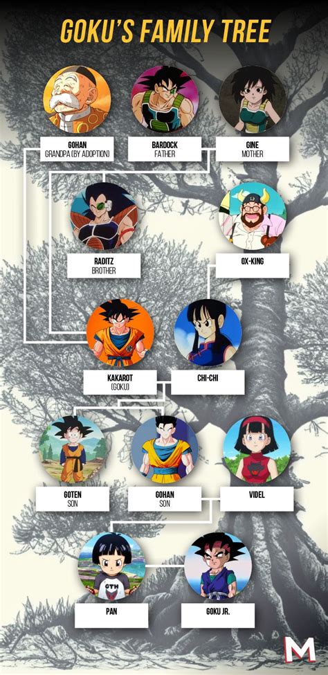 Dragon Ball: Goku's Family Tree, Explained