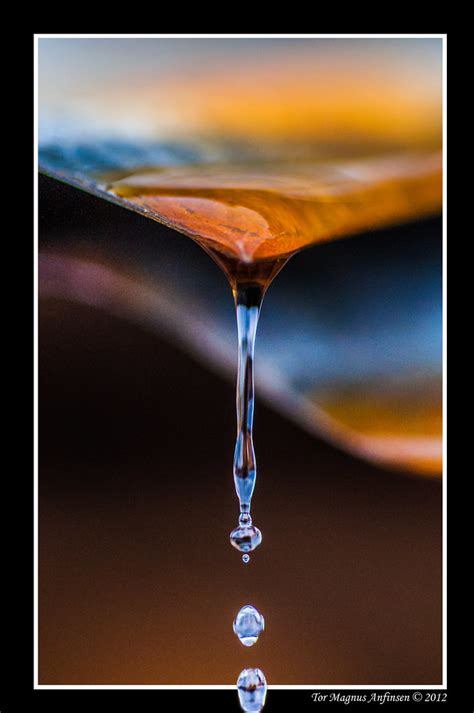 Water drop macro hanheld | This macro was taken in easter on… | Flickr