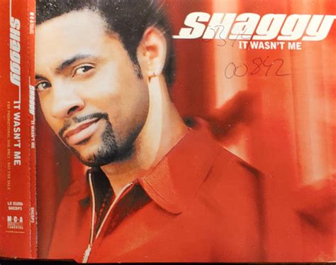 Shaggy – It Wasn't Me (2001, CD) - Discogs