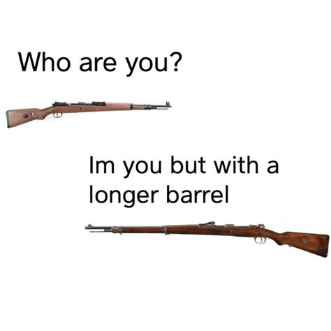 Kar98K Vs Gewehr 98 : r/BattlefieldV