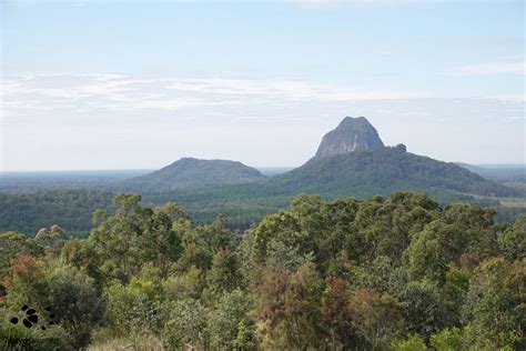 Glass House Mountains - Awe Inspiring Peaks