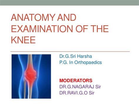 Anatomy and Examination of the Knee