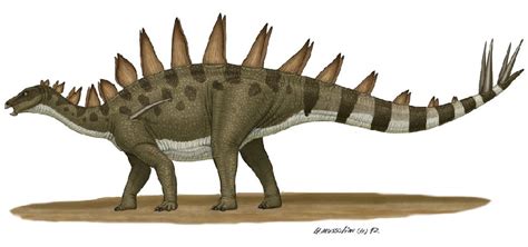 Tuojiangosaurus Pictures & Facts - The Dinosaur Database