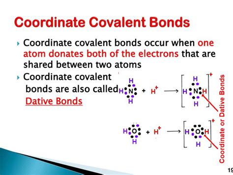 PPT - Chemical Bonding PowerPoint Presentation - ID:1588665