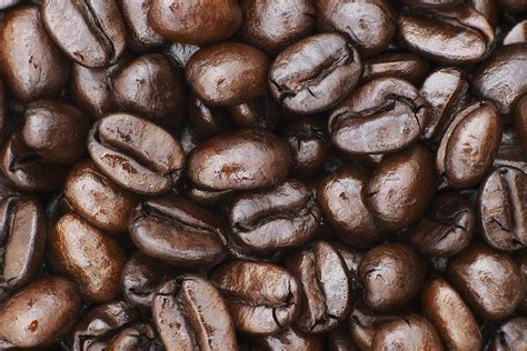 Medium Dark Roast Kona Coffee Beans Photograph by Philip Rosenberg