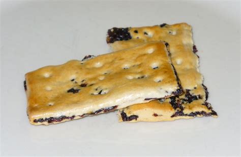File:Garibaldi biscuit.jpg - Wikipedia
