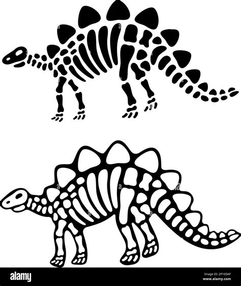 Stegosaurus bones and skull. Stegosaurus skeleton. Prehistoric animal ...