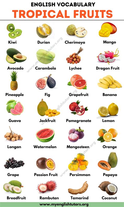 List Of Fruits: List Of 40+ Popular Fruit Names With | Fruit list, Fruit names, Fruit