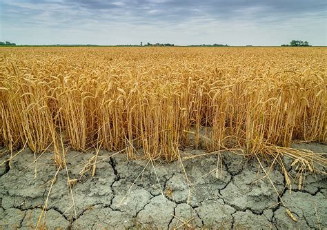 What Are The Different Types Of Drought? - WorldAtlas