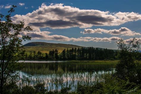 Galloway Forest Park : Scotland