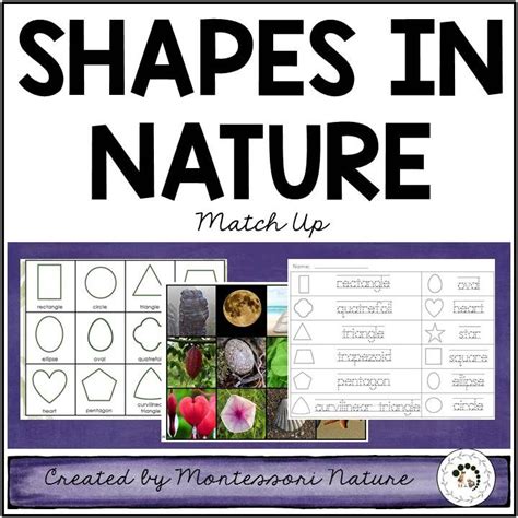2d Shapes In Nature Printable Nature Curriculum In Ca - vrogue.co