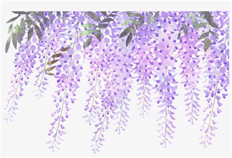 Download Report Abuse - Lavender Flower Border Png | Transparent PNG Download | SeekPNG