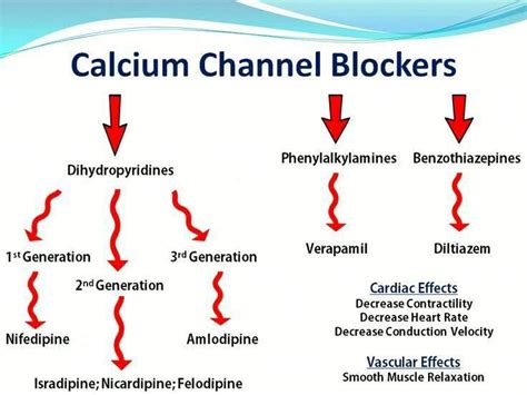 Manus Aktteva Biopharma LLP: A Brief Details of Calcium Channel Blocker ...