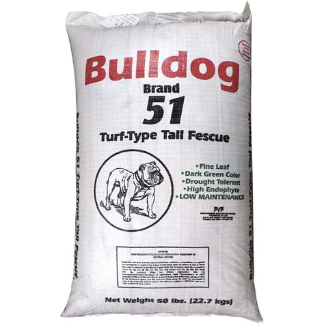 Bulldog 51 Tall Fescue Grass Seed - 1 Lb. | Seed World