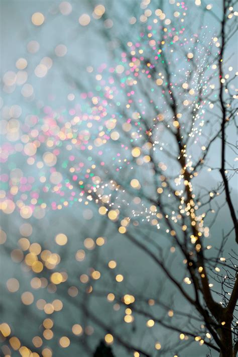 Winter Photography Holiday Fairy Lights in Trees, Festive Winter Scene ...