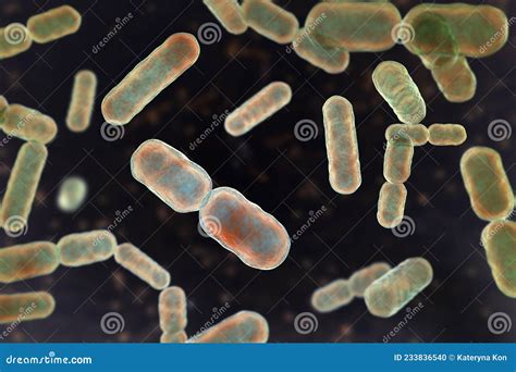 Bacteria Bacteroides Fragilis Stock Illustration | CartoonDealer.com ...